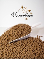 sac-croquettes-pour-chien-yesfood-energie-aniamaux-alimentation-animale