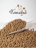 sac-croquettes-pour-chien-yesfood-maintenance-aniamaux-alimentation-animale