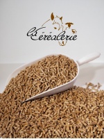 sac-granules-bois-poele-chauffage-haute-performance
