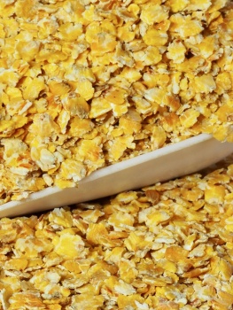 cereales-mais-floconne-animaux-alimentation-animale