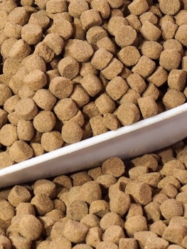 croquettes-chien-yesfood-maintenance-alimentation-animale