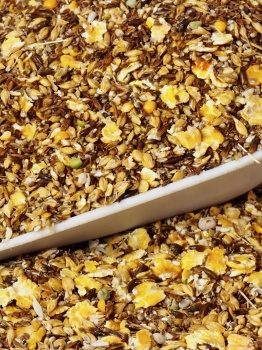 melange-cereales-peche-animaux-alimentation-animale-poisson