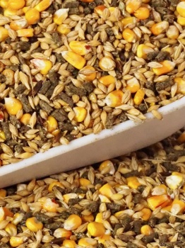 melange-graines-lapin-animaux-alimentation-animale
