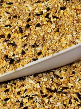 melange-graines-volaille-animaux-alimentation-animale_1558467076
