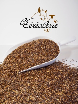 sac-cereales-avoine-brossee_1423942874
