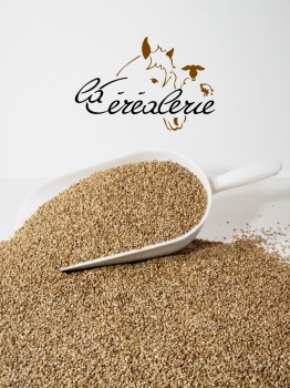 sac-cereales-graines-chenevis-animaux-alimentation-animale_748259061_1743072225