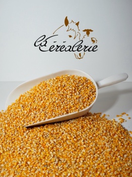 sac-cereales-mais-rond-animaux-alimentation-animale