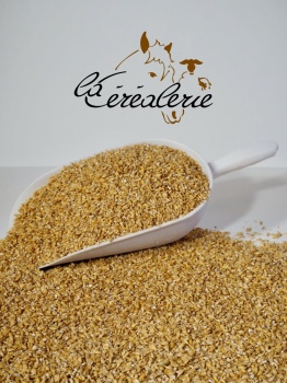 sac-cereales-orge-aplatie-animaux-alimentation-animale_812589365