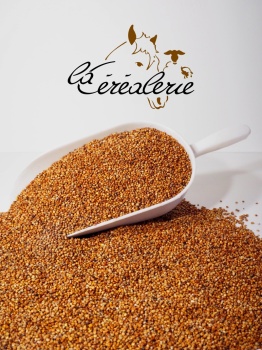 sac-cereales-sorgho-roux-animaux-alimentation-animale_310985842