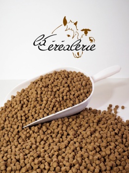 sac-croquettes-pour-chien-yesfood-energie-aniamaux-alimentation-animale