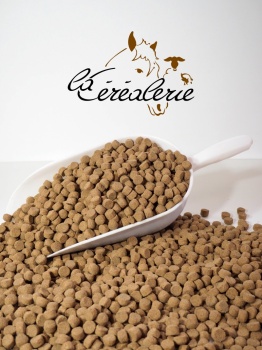 sac-croquettes-pour-chien-yesfood-maintenance-aniamaux-alimentation-animale