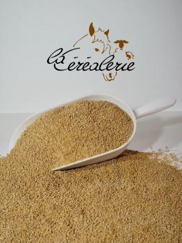 sac-granules-aliment-poussin-volaille_331226641
