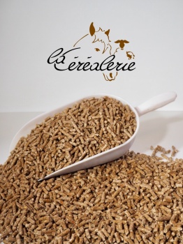 sac-granules-bois-poele-chauffage-haute-performance